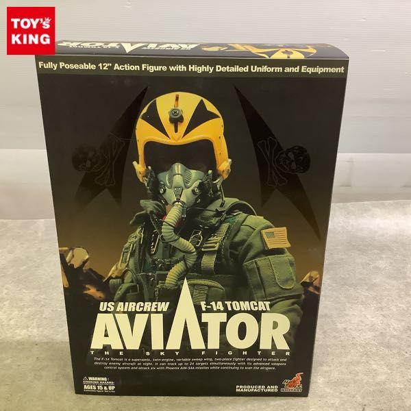 ホットトイズ•F-14トムキャット•アビエイター